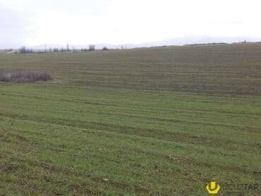 дом на колесах turbo az: 20 sot, Mülkiyyətçi, Bələdiyyə — 1