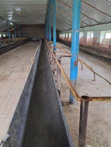 bağ evi satışı: Kənd təsərrüfatı — 18