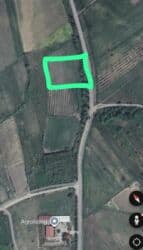 ecemi kiraye ev: 100 sot, Kənd təsərrüfatı, Mülkiyyətçi, Texniki pasport, Kupça (Çıxarış) — 1