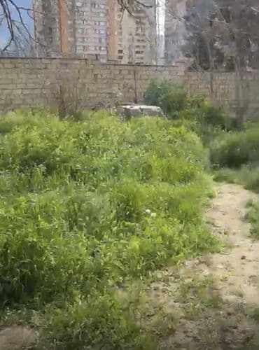 yeni əmlak az: 24 sot, Tikinti, Mülkiyyətçi, Kupça (Çıxarış) — 7