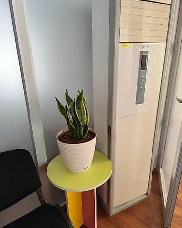 Bağ evləri: Salam. Şəhərin mərkəzində yeni tikili binanın 3-cü mərtəbəsində — 10