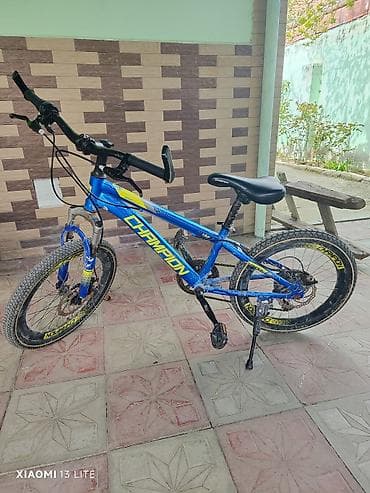 velosiped icare: İki təkərli Uşaq velosipedi 20", sürətlərin sayı: 1 — 2