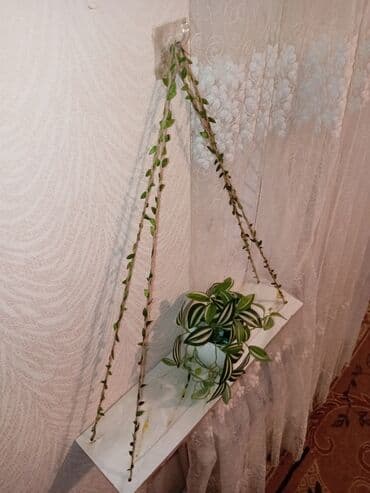 2ci əl stol stul: Yeni, Dekorativ rəf — 4