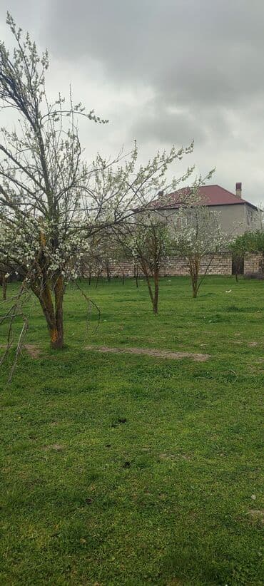 sumqayitda saatliq evler: Kənd təsərrüfatı — 1