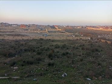 gen: 12 sot, Tikinti, Barter mümkündür — 4