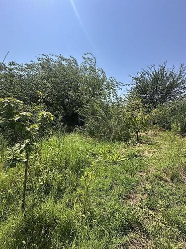 4 göz satışı: 5 sot, Tikinti, Mülkiyyətçi, Kupça (Çıxarış), Texniki pasport — 3