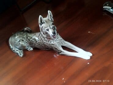 qara qarayev tibb kurslari: SSSR super vəziyyətə — 5