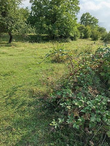 ucuz torpaq sahəsi: 17 sot, Tikinti, Maklerlər narahat etməsin, Bələdiyyə — 7