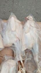 bugdanin qiymeti: Liqore sort Colpalar ela colpalardi qiymetleri 6 manat 1 kl 100q — 3