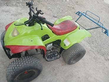 Motonəqliyyat: ATV (kvadrotsikl) – benzin mühərrikli, 4 təkərli - Rəng — 2