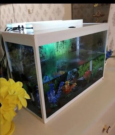 Прямоугольный аквариум, 50 л, Самовывоз — 2