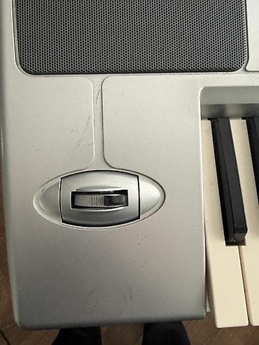 Sintezator, Korg, İşlənmiş — 5
