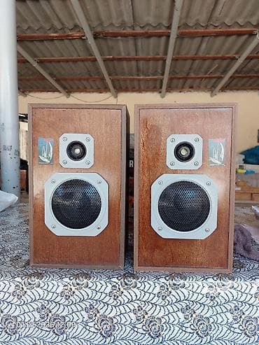 Yeni Radiotehnika Kolonka, Növ - Akustik, rəng - Qəhvəyi lalafo.az -da Yeni Radiotehnika Kolonka, Növ - Akustik, rəng - Qəhvəyi