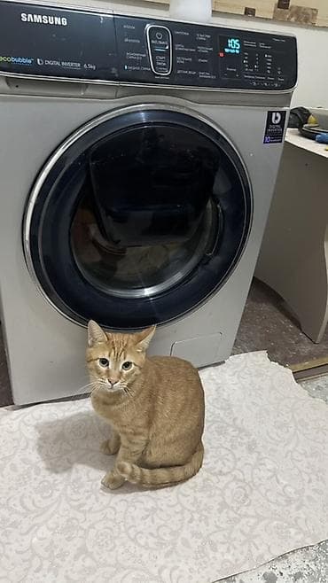 teker servis: Kuxna mebeli deyishir deye satilir Cox ishlenmeyib,yeni kimidir — 6