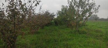 xacmaz torpag: 93 sot, Kənd təsərrüfatı — 2