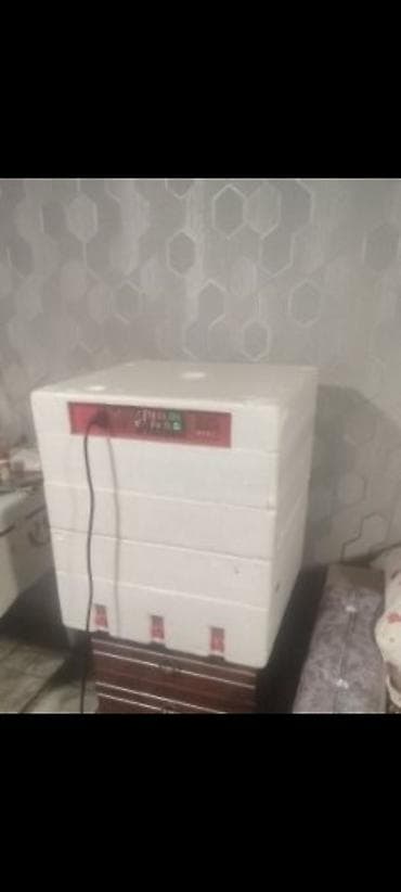 Biznes üçün avadanlıq: Tam avtomatik inkubator 256 yumurtalıq Qaz hinduşka ördək cücə — 1