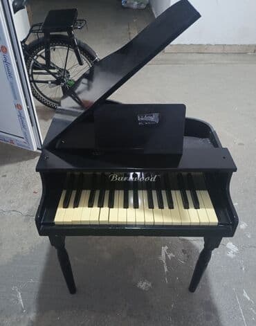 mini projector qiymeti: Mini pianino — 2