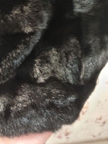 женские шубы из бобра: Suba tezedir — 8