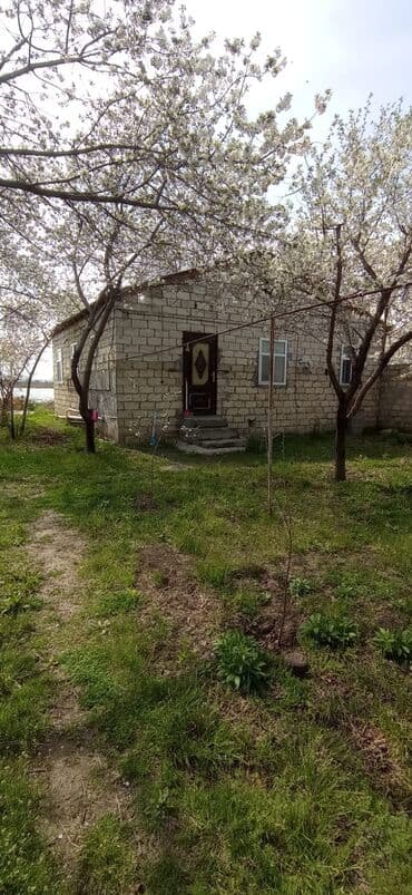 agdas ev: 9 sot, Tikinti, Mülkiyyətçi, Kupça (Çıxarış) — 5