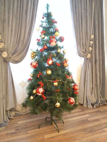 Yolka 190 sm hündürlüyünde.055-934-76-90