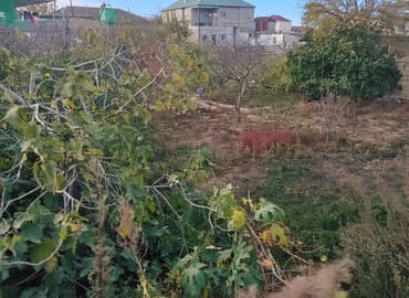 milyonerlər məhəlləsi: 3 sot, Tikinti — 2