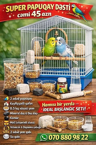 haski bala: SUPER PAPUQAY DƏSTİ 🦜cemi 45 azn ✨ Hamısı bir yerdə – ideal başlanğıc — 1