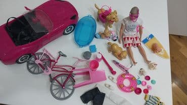 cinema plus barbie: Ken və ev heyvanlari aksessuarlar hamisi birlikde 35 man — 1
