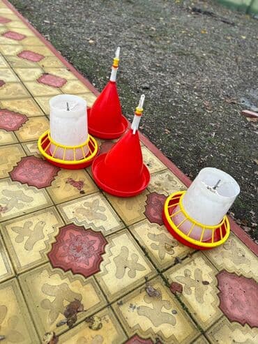 Yem və su qabları hərəsindən 10 dənənədir. 1 dəfə istifadə olunub