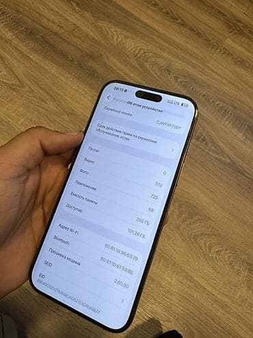 mac pro: IPhone 16 Pro Max, 256 GB, Qızılı, Face ID — 4