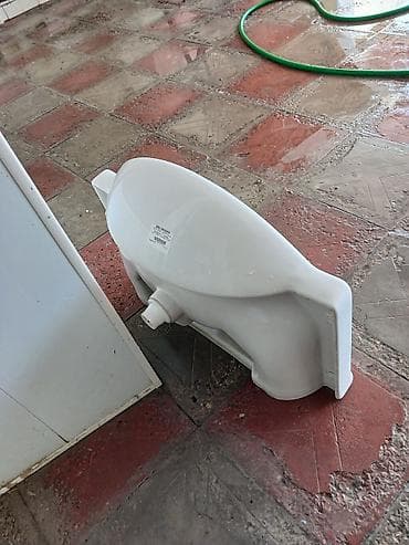 çanaq tülpan: İşlənmiş Çanaq, Keramika, Ünvandan götürmə — 3