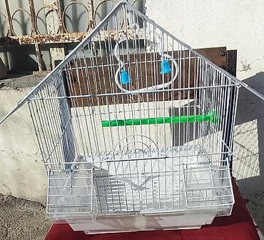 çöl heyvanları haqqında məlumat: Balaca Qəfəs Satılır 🐦 ✔️ Papuqay, korella və digər kiçik quşlar üçün — 3