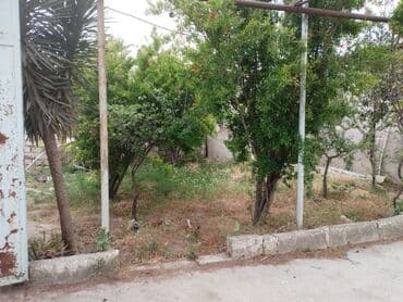 jasmin park qobu: Şüvəlan qəs. 8 otaq, 100 kv. m, Orta təmir — 5