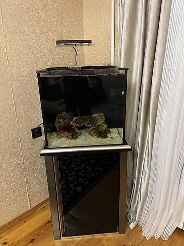 Hazir okean akvariumu satilir icinde dashi qumu 3 ilbizi musherom