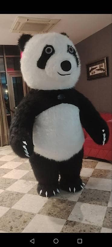 Daraq panellər: Panda kostyumu kirayə verilir — 2