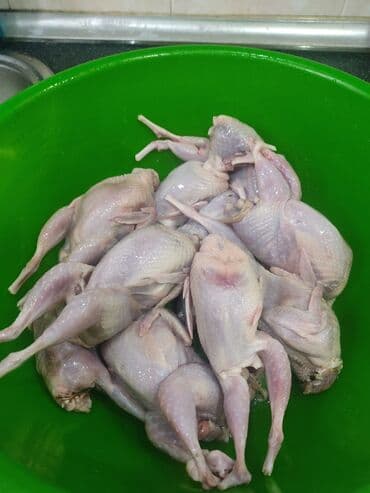 Şexsi olaraq heyetde saxlanilan bildirçinlerdi,düzgün formada hise