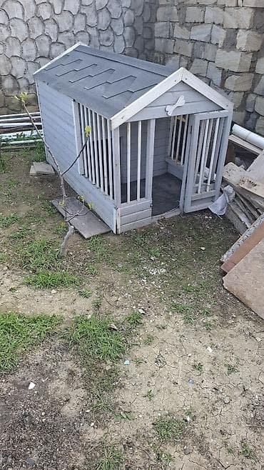 Taxta it evi – geniş eyvanlı model - Material: keyfiyyətli taxta