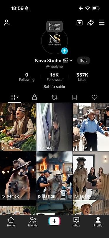 Hazır biznes: Satılır: TikTok səhifəsi - Auditoriya: 16K izləyici - Bəyənmələr — 1