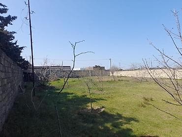 topaq: 12 sot, Kupça (Çıxarış) — 2