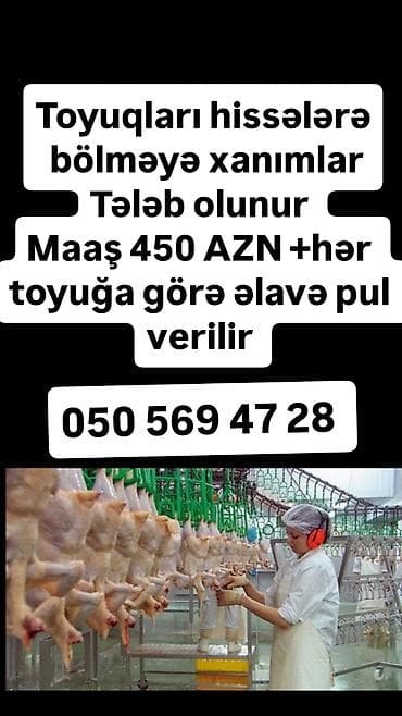 ekspeditor teleb olunur: Elan: İş təklifləri - Bağçaya aşpaz köməkçisi tələb olunur. Maaş: 400 — 10