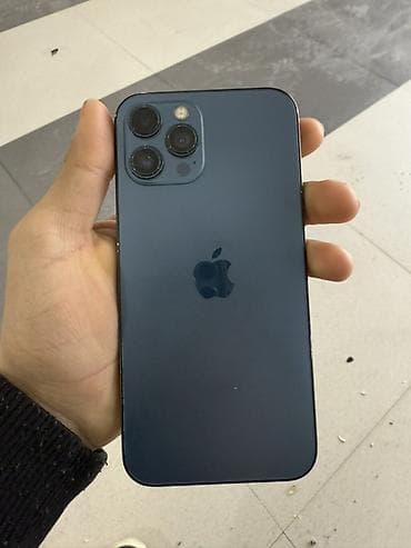 printer rəngləri: IPhone 12 Pro Max, 256 GB, Göy — 1