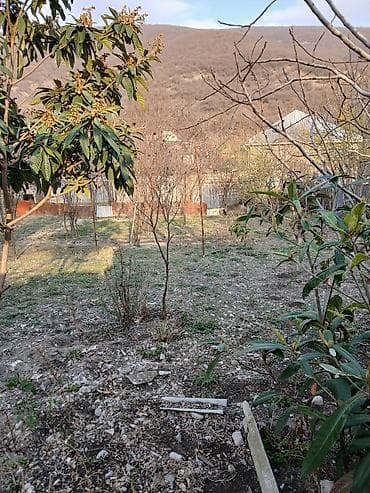 5 sot Biznes üçün, Qaz, İşıq, Su lalafo.az -da 5 sot Biznes üçün, Qaz, İşıq, Su