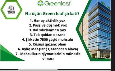 bağ evine axran: Marketoloq tələb olunur, İstənilən yaş, Təcrübəsiz — 2