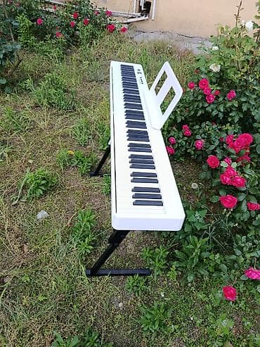 mp3 yüklə: Piano, Rəqəmsal, Yeni, Pulsuz çatdırılma — 3