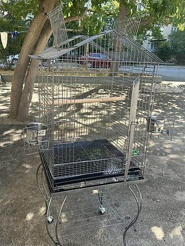 ucuz quslar: 2 ay öncə 300 manata alınıb. Böyük olçüsü var. Paslanması falan yoxdu — 3