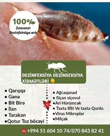 en yaxsi xalca yuma hansi: Dezinfeksiya, dezinseksiya | Taxtabiti, Birələr, Tarakanlar | Nəqliyyat, Ofislər, Mənzillər — 7