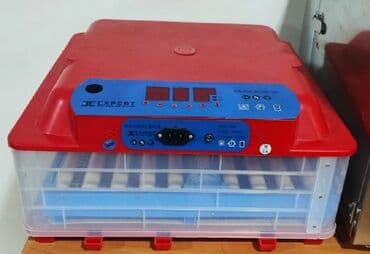 cucə cıxaran: Çin, Fabrik istehsalı, Tam avtomat, Bütün növ quşlaq üçün — 1