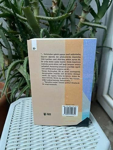 kitab: Məhsul: “Qanadsız Mələk” – sevgi romanı Müəllif: Aysel ŞıxlI — 2