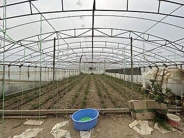 ev qap: İstixana kompleksi – dam örtüyü karkaslı, tam işlək əkin sahələri və — 7