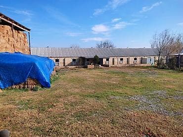 beyleqanda torpaq satilir: 36 sot, Biznes üçün, Mülkiyyətçi, Kupça (Çıxarış), Bələdiyyə — 4