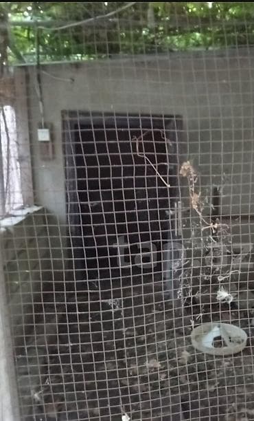 Bağ evləri: Zabrat 3 otaqlı, 100 kv. m, Kredit yoxdur, Orta təmir — 4